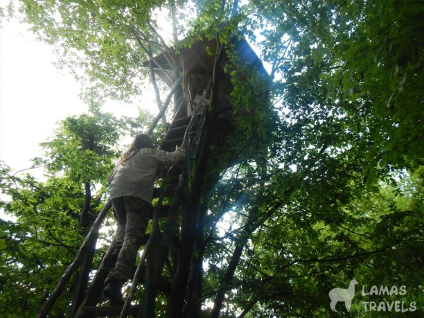 Смотровая вышка возле села Стужица.